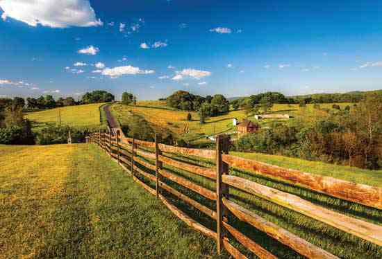 “Thank you for fostering the sense of contentment I feel while pursuing my goal of finding my dream farm.” — D. Hubbard; Winter Haven, Fla.